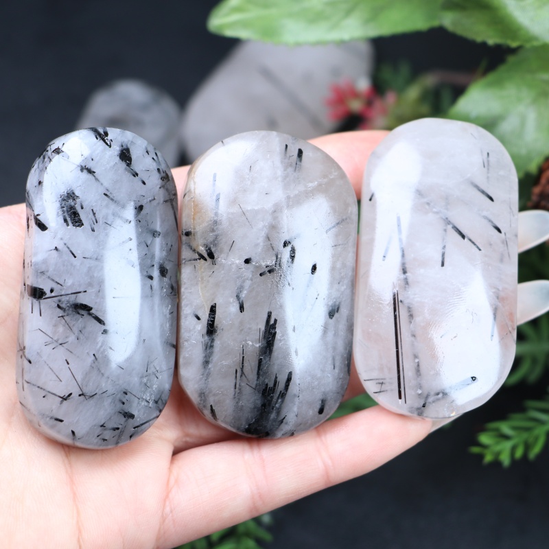 Office Furniture China - 1pc Natural Decorative Palm Random-Black Rutiled