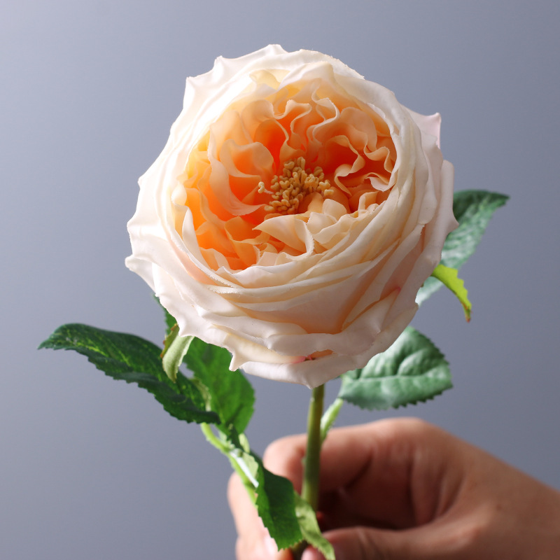 5pcs Artificial Rose Peony Rea - Office Furniture Installation review and price